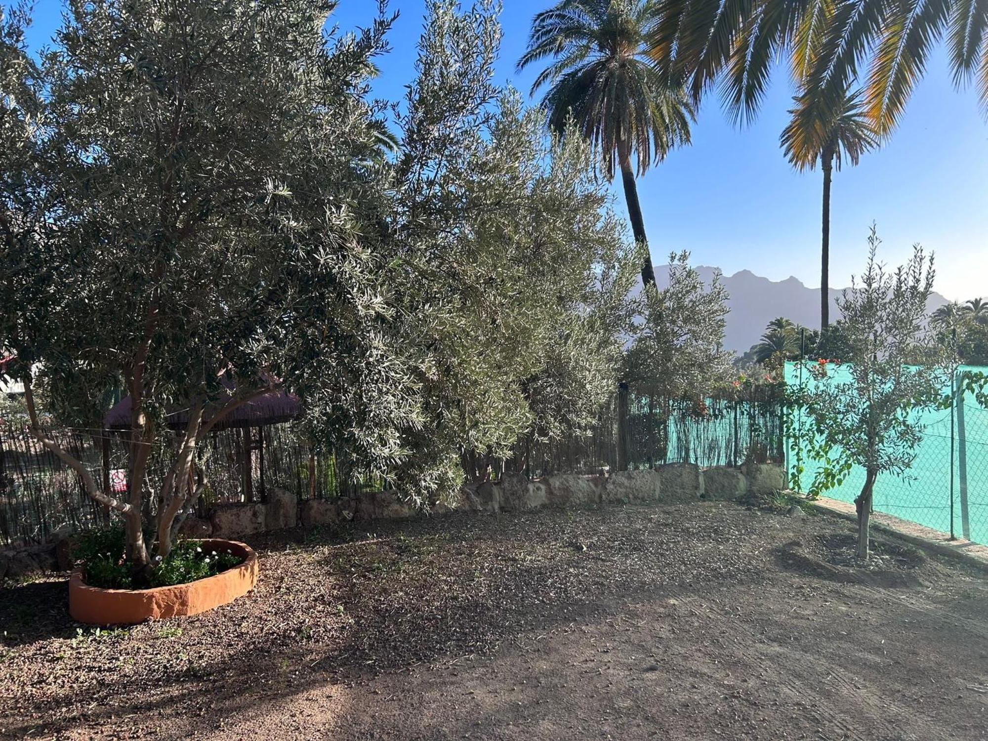 Vila La Casa De Tea Santa Lucia Exteriér fotografie